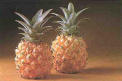ananas3.jpg (2917 octets)