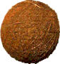 coco.jpg (3417 octets)