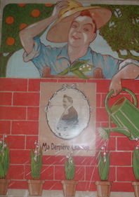 mayol131b.jpg (30757 octets)